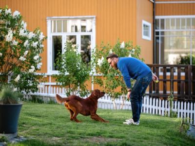 Foto av mann og hund som leker på en gressplen.
