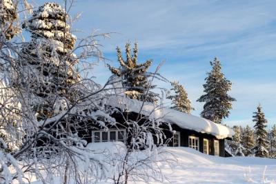 Hytte i skogen med snø på taket og på tunet. Det er blå himmel, og solen skinner på hytta. Foto.