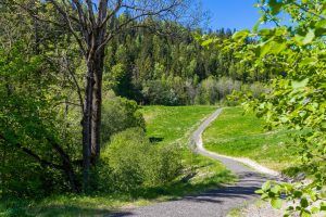 Stoppenkollen i Drammen med sti inn mot skogen