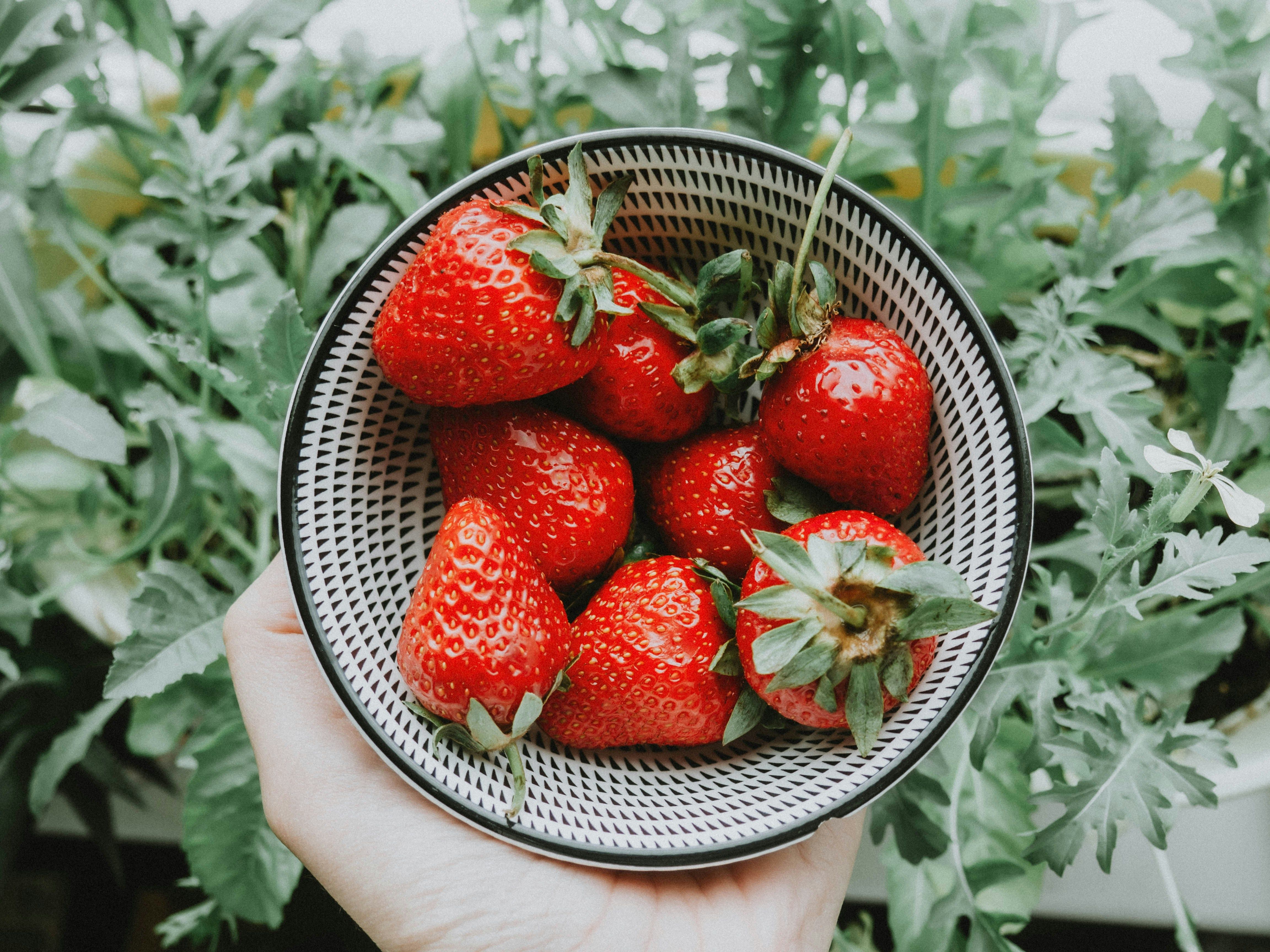 A close-up of a hand holding a bowl filled with fresh, vibrant red strawberries