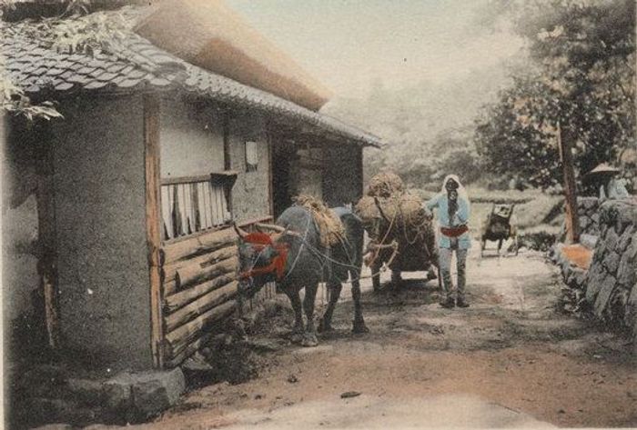 1890년대 일본 농촌