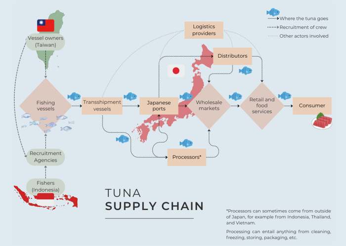 인도네시아-대만-일본으로 이어진 글로벌 참치 공급망