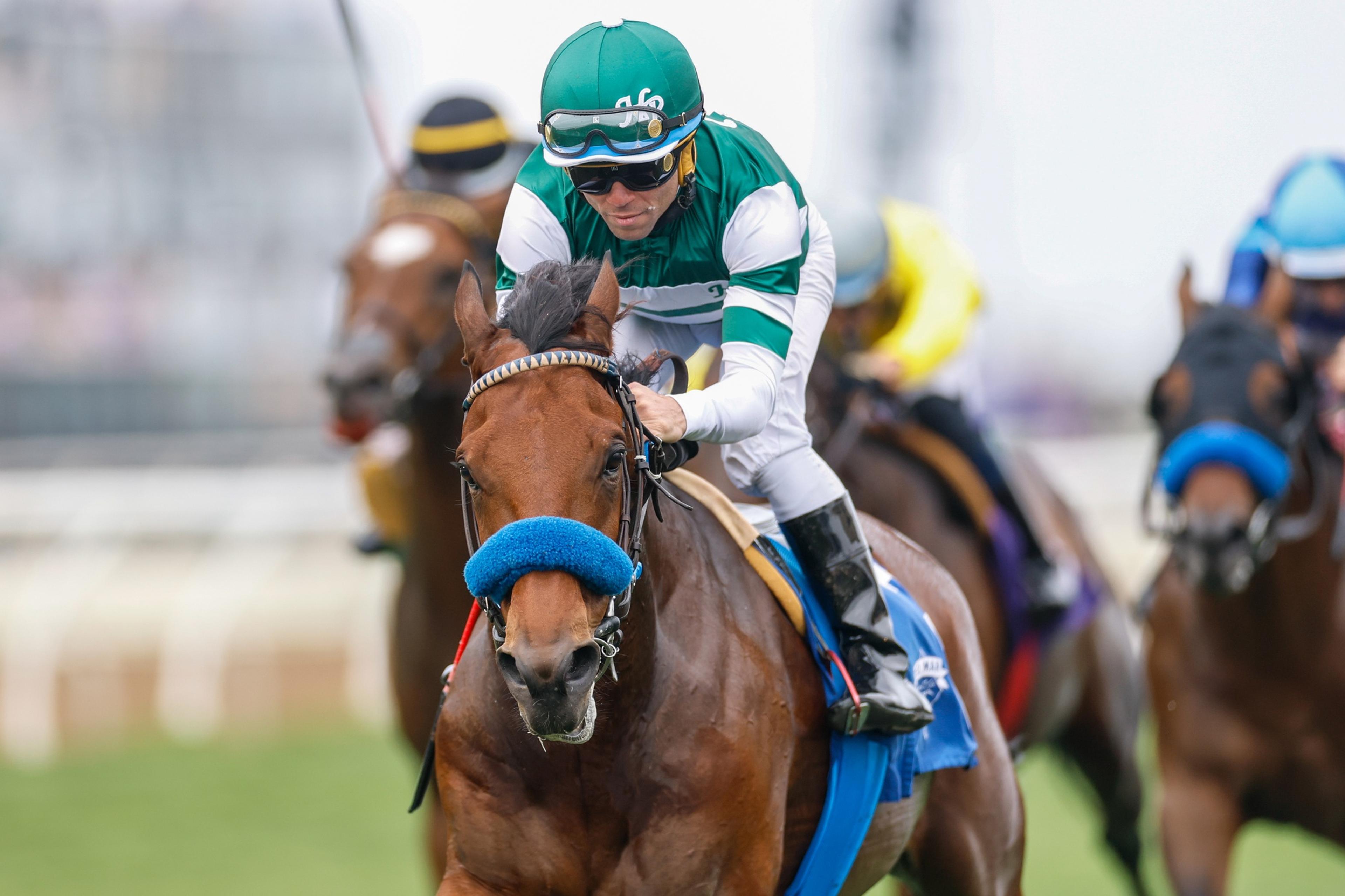 Horse Racing: 2025 Breeders Cup Championship