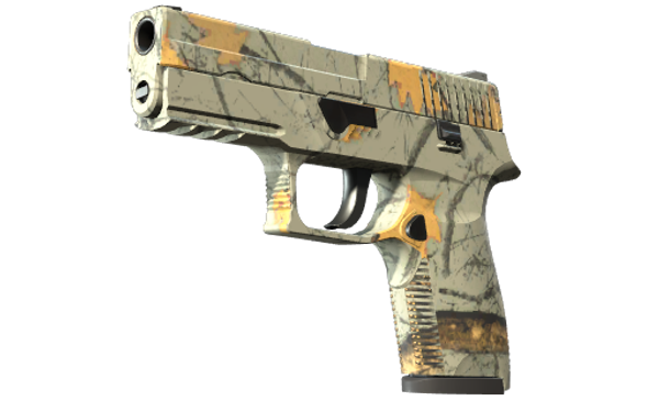 P250 | Modern Hunter — CS2 skin