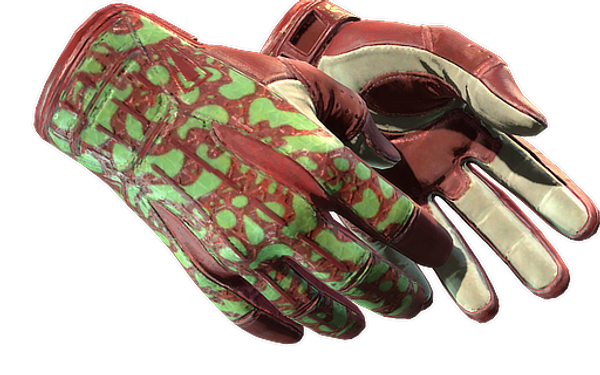 ★ Sport Gloves | Bronze Morph — CS2 skin