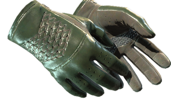 ★ Driver Gloves | Racing Green — CS2 skin