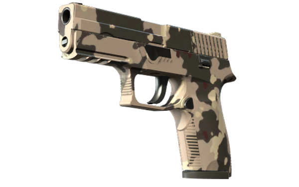 P250 | Black & Tan — CS2 skin