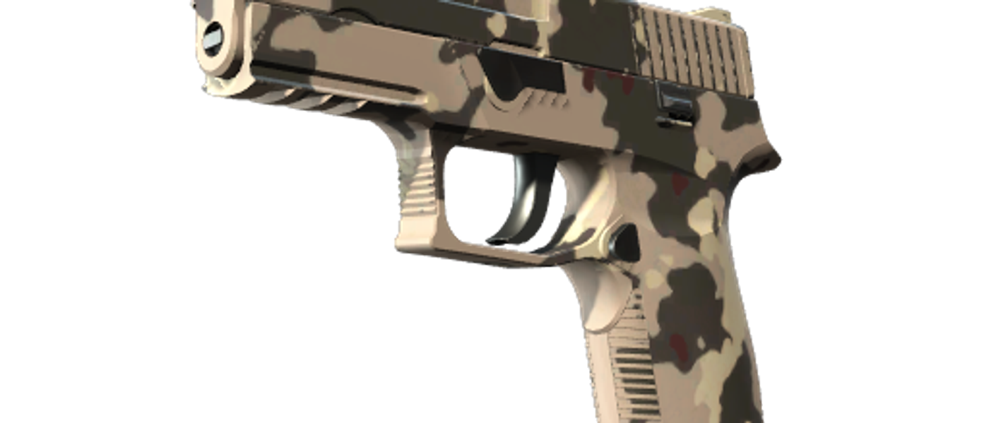 P250 | Black & Tan — CS2 skin