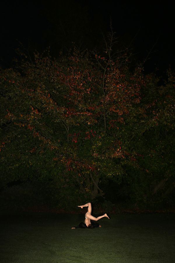 The Forest Fairy