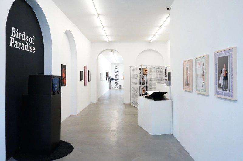 The Zine Project — installation view 1