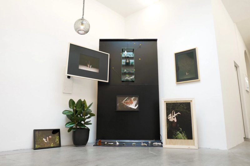 The Zine Project — installation view 7