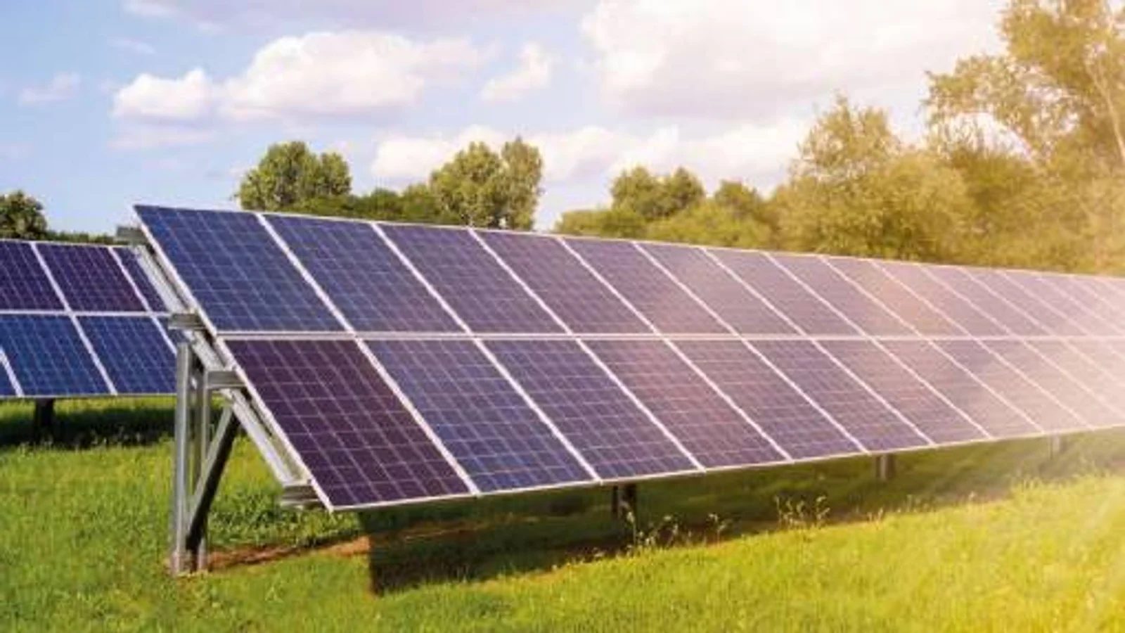 Photovoltaik Anlage auf einer grünen Wiese