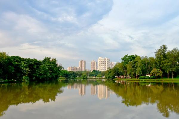 The Jurong Lake District: Ideal for Nature Lovers & Urban Dwellers Alike