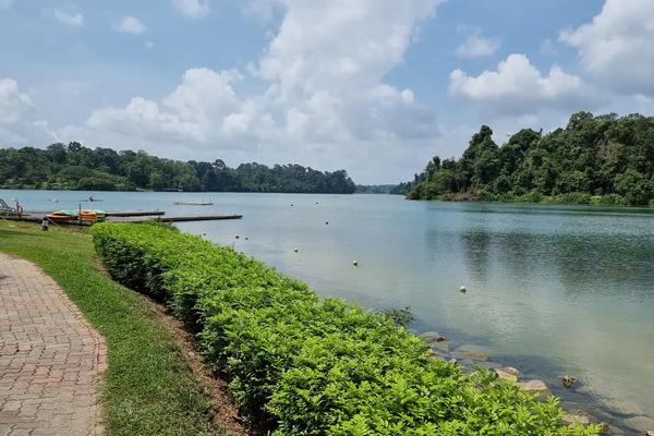A Guide to Exploring MacRitchie Reservoir Park