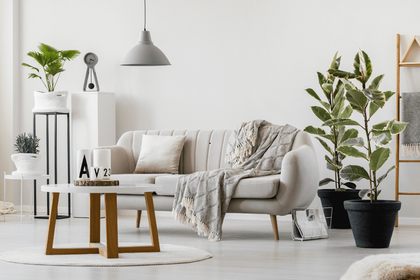 What To Expect When Living in Penrith Condo