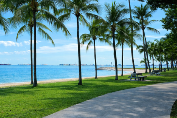 Living Near East Coast Park: Daily Life Around Vela Bay