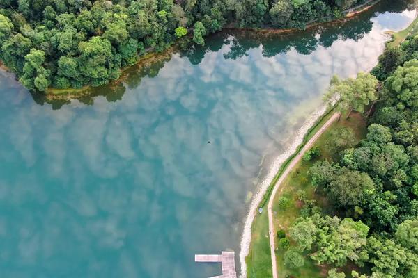 Recreational Opportunities Around Thomson Reserve