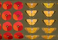 Oak bench with clouded yellow butterflies, poppy flowers and snails (2022), Daniel Dewar & Grégory Gicquel, Jan Kaps, Cologne