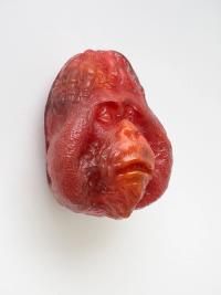 Planet of the Apes (Persimmon fruit) (2021), Jean-Marie Appriou, Jan Kaps, Cologne