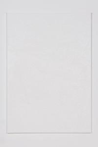 Don't you think it´s a bit problematic., 2020, Vinyl print and oil on canvas, 200 × 140 cm (undefined), Tobias Spichtig, Kaleidoscope At Spazio Maiocchi, Milan