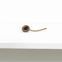 NIK GELORMINO / KEEGAN MONAGHAN, UNTITLED, 2009 (undefined), undefined, Jan Kaps, Cologne