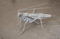 Grasshopper N° 3, 2017, aluminium, 30 × 50 × 20 cm (undefined), Jean-Marie Appriou, Jan Kaps, Cologne