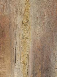 Everything is Full of You (2021), Minh Lan Tran, Jan Kaps, Cologne