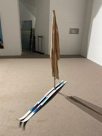 Looking at Nature on the way down (2016), Tobias Spichtig, Kaleidoscope At Spazio Maiocchi, Milan