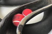 Untitled (detail), 2019, Design Toscano Serpents (fiberglass, steel), Magic-Sculpt, gesso, clear glass straws, straw brushes, pink glass straw, Bonzai Wire, unbleached kitchen twine and 3 Guru Cricket Balls, 110 × 177 × 96 cm (undefined), Nancy Lupo, Jan Kaps, Cologne