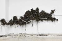 Transcend (Detail) (2017), Violet Dennison, Jan Kaps, Cologne