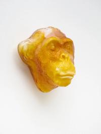 Planet of the Apes (Vincent) (2021), Jean-Marie Appriou, Jan Kaps, Cologne