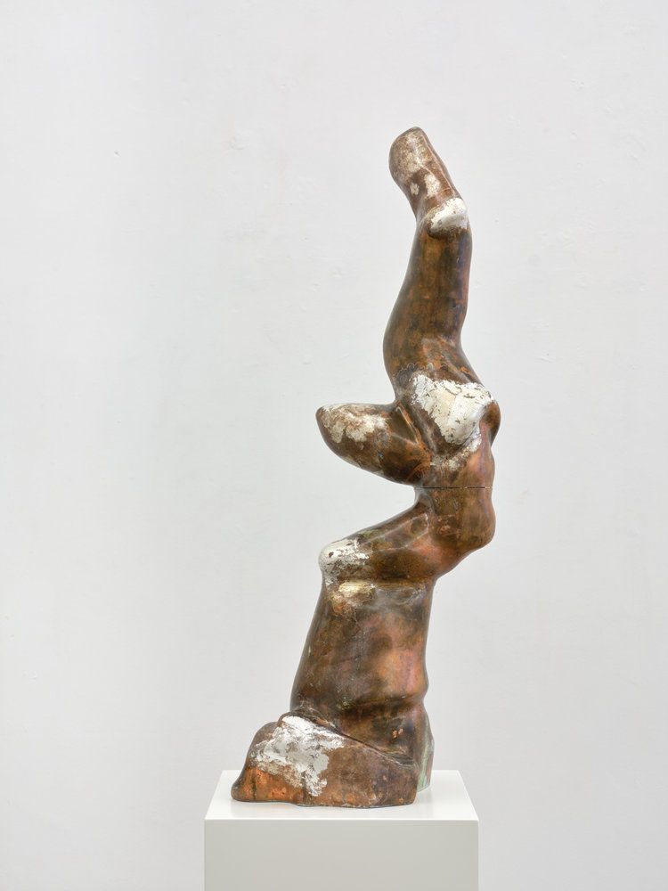 Jan Kaps | Exhibitions | Berenice Olmedo – Phorá