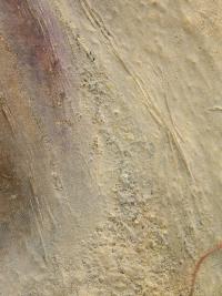 Untitled (2021), Minh Lan Tran, Jan Kaps, Cologne