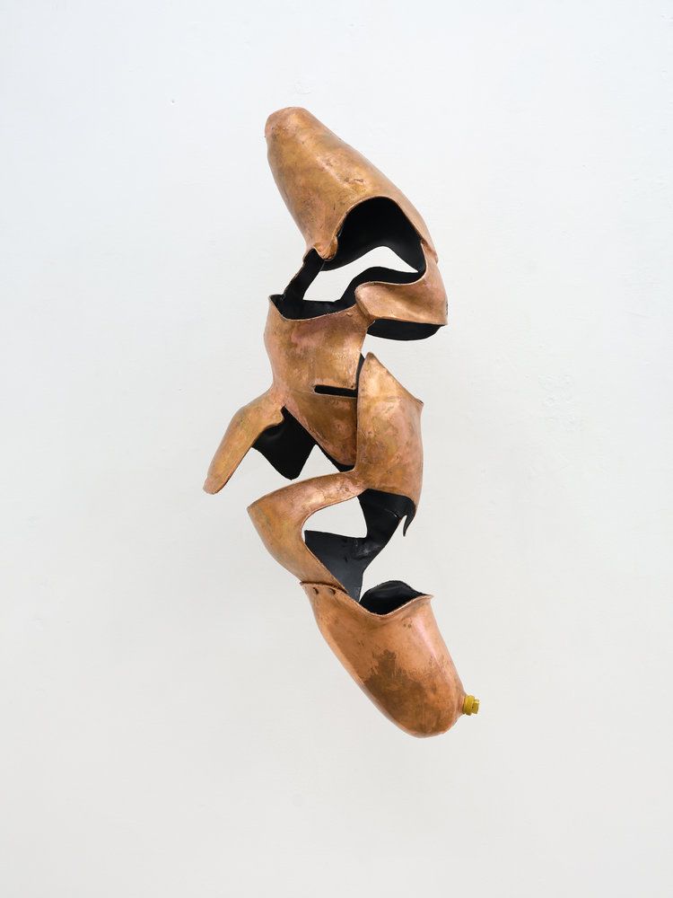 Jan Kaps | Exhibitions | Berenice Olmedo – Phorá