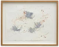 Hair print (2022), Tanya Lukin Linklater, Jan Kaps, Cologne