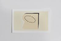 Plan View, 2019, Video: 1 min (Loop), 31 Lithographs, 32 x 3 steel finishing nails, 32 rare earth magnets, Each Lithograph: 21.6 × 40.96 cm (undefined), Nancy Lupo, Jan Kaps, Cologne