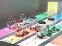 RUNAWAY INTERLUDES / 16 CHANNEL JAMBOREE VOL. 7 (ADMISSION), 2015 (undefined), undefined, Jan Kaps, Cologne