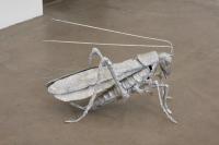 Grasshopper N° 4, 2017, aluminium, 30 × 50 × 20 cm (undefined), Jean-Marie Appriou, Jan Kaps, Cologne