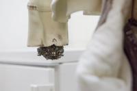 I Do Smell Horsepiss. This Is Grand. Where Was I? (Detail) (2016), Tobias Spichtig, Jan Kaps, Cologne