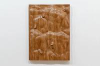 Oak relief with body fragments, 2019
Oak wood
120 × 88 × 17 cm (undefined), Daniel Dewar & Grégory Gicquel, 15th Biennale De Lyon
Mac Lyon, Lyon