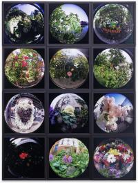 Flowers (2019), Emanuel Rossetti, Jan Kaps, Cologne