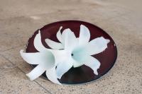 Jasmine N° 2, 2017, glass, 50 × 50 × 40 cm (undefined), Jean-Marie Appriou, Jan Kaps, Cologne