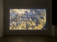 This moment an endurance to the end forever (2020), Tanya Lukin Linklater, Jan Kaps, Cologne