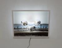 Nontransitive Set (2017), Emanuel Rossetti, Svetlana, New York