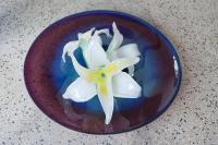 Jasmine N° 1, 2017, glass, 50 × 50 × 40 cm (undefined), Jean-Marie Appriou, Jan Kaps, Cologne