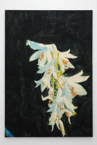 Wandern mit Erwin 1 (2018), Tobias Spichtig, Malta Contemporary, Valletta