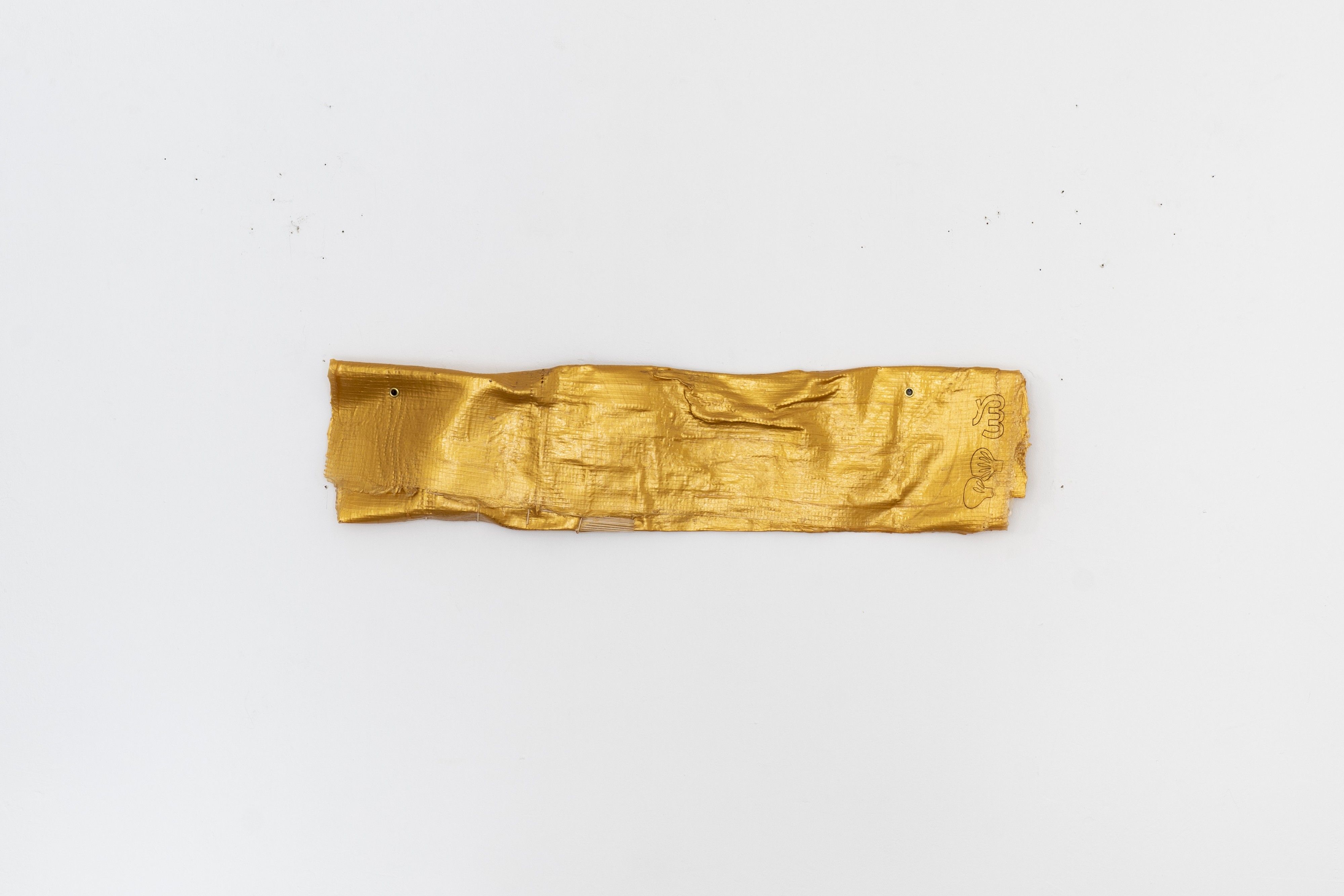 Jan Kaps | Exhibitions | Nancy Lupo – Golden Shower