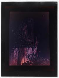 Oak (iteration for Wilhelm) (2025), Akosua Viktoria Adu-Sanyah, Jan Kaps, Cologne