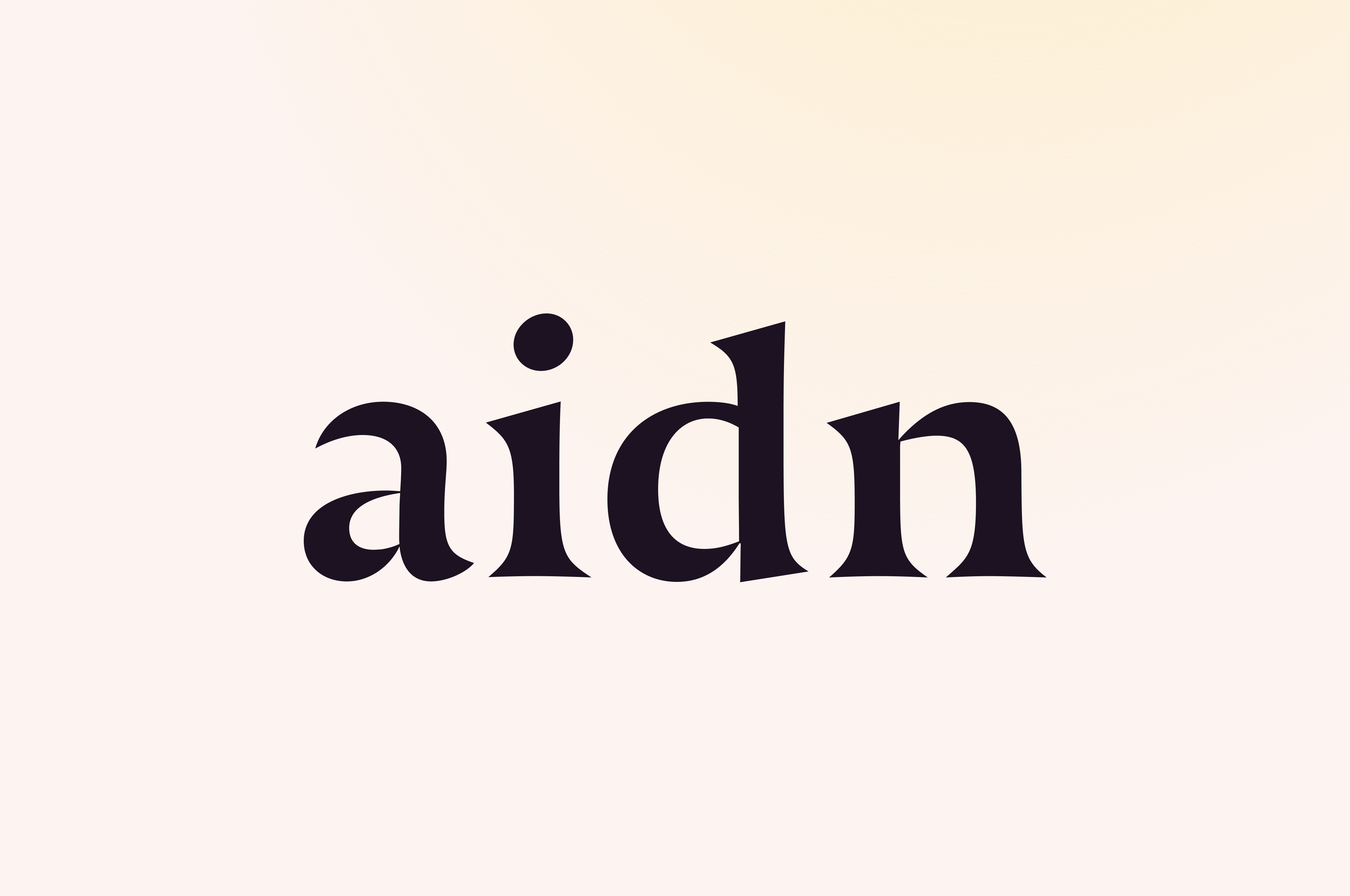 Aidn UI details