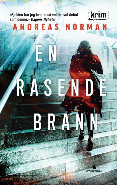 En rasende brann av Andreas Norman